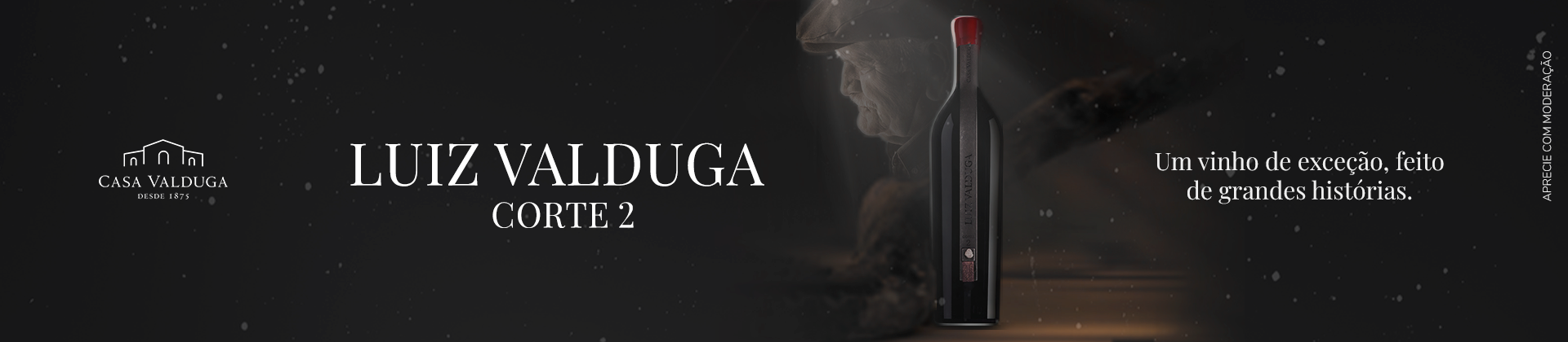 Luiz Valduga (1920x420)